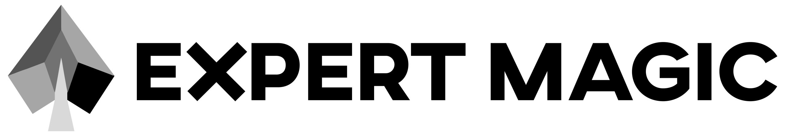 Expert Magic Logo 2